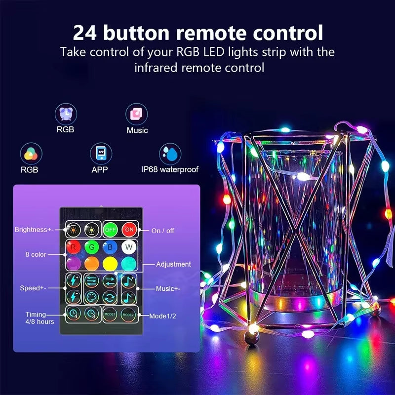Dreamcolor RGB LED Fairy Lights — App Controlled