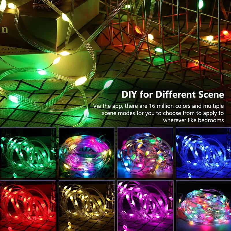 Dreamcolor RGB LED Fairy Lights — App Controlled